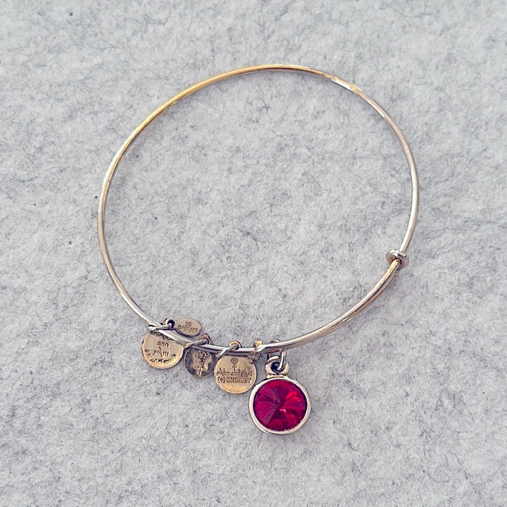 ALEX and ANI January Charm Bracelet